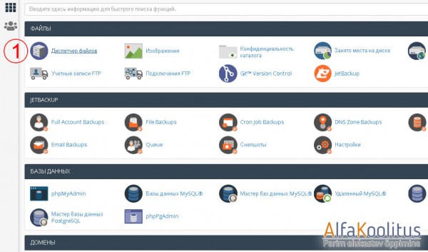 вход на веб сервер в cPanel диспетчер файлов